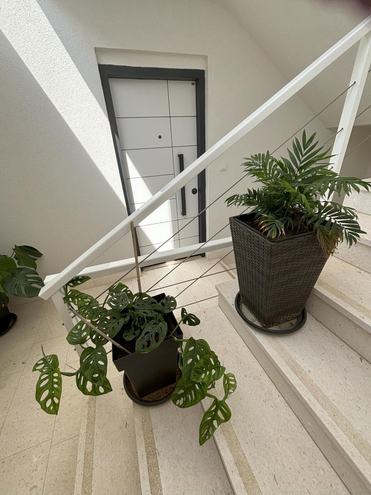 יזרה Vila Regina Apartment Paloma With Swimming Pool מראה חיצוני תמונה